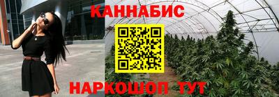a pvp Гусев