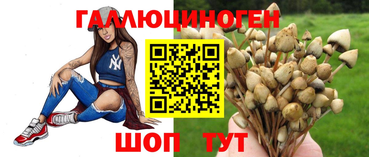 Галлюциногенные грибы Psilocybe  Псилоцибиновые грибы MAGIC MUSHROOMS  Вход с VPN  Шелехов 